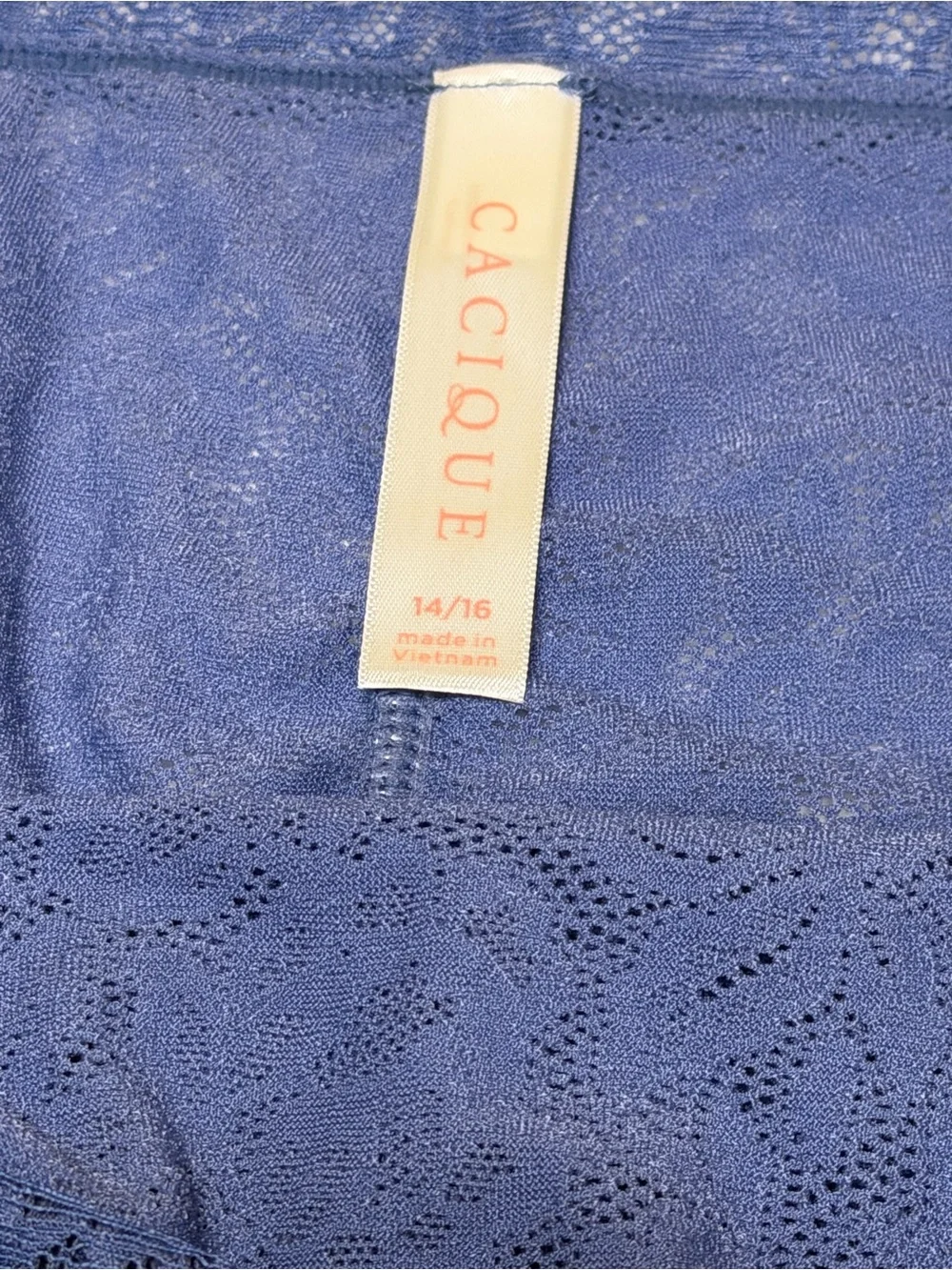 Cacique Lace Cheeky Panty in Blue